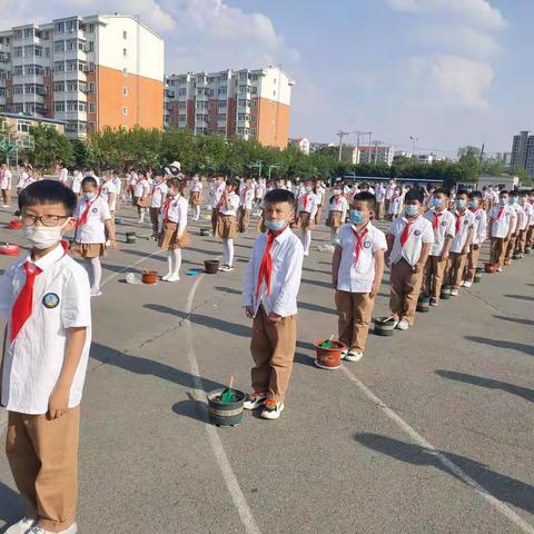 【解放·劳动】享受种植之乐，品味劳动之美——解放小学三年四班远程种植活动