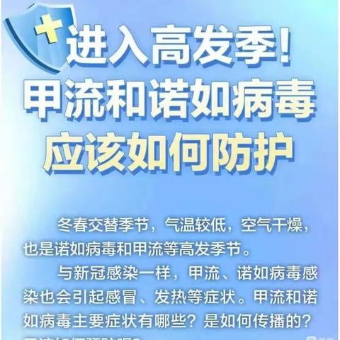 甲流、诺如病毒感染如同新冠🦠…