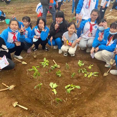 “以劳育美，以美育人”——柳州市白云小学劳动教育实践活动