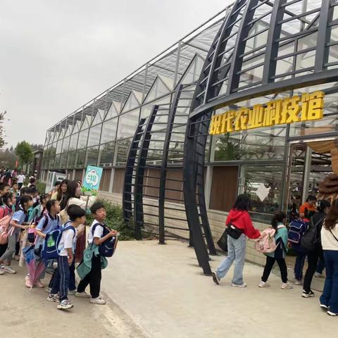 柳州市静兰小学2023年春季劳动教育实践活动记录篇