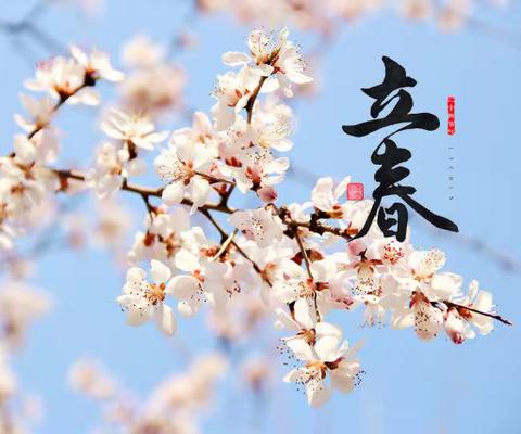 海医二院幼儿园大班组2023年春季返园七天“收心计划”