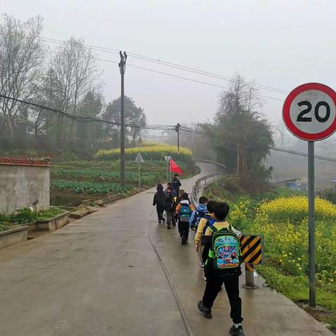 春风润心泽，劳动练真知——荣昌区双河中心小学一年级春游暨劳动实践活动