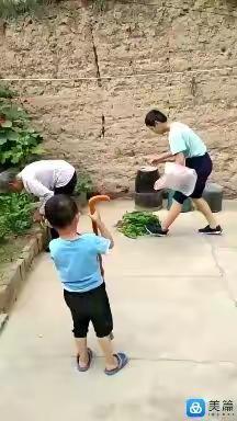 姑妈逝世周年纪念