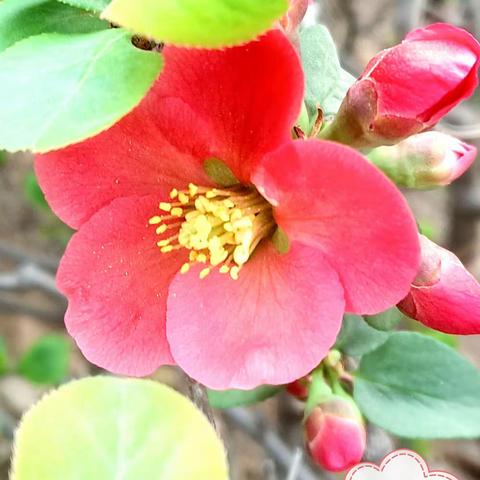 我们的学校静悄悄