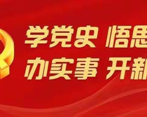 【南孙庄乡第一幼儿园】党支部《党课开讲啦》观看学习小结