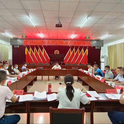 王绥臻副市长赴新龙镇主持召开美丽乡村示范点打造研讨会