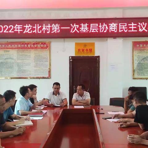 新龙镇龙北村召开2022年第一次基层协商民主议事会