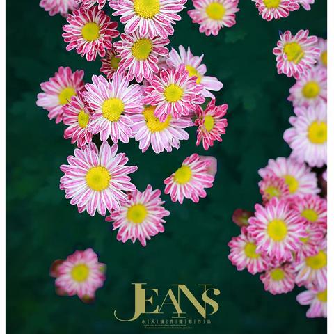 《花笺日志》水天镜界摄影作品