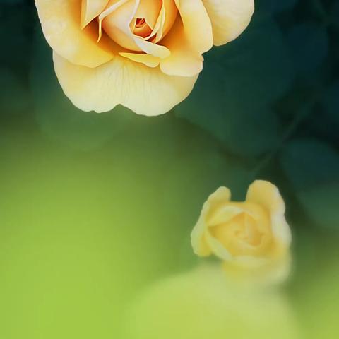 【梦谷花坊】水天镜界摄影作品