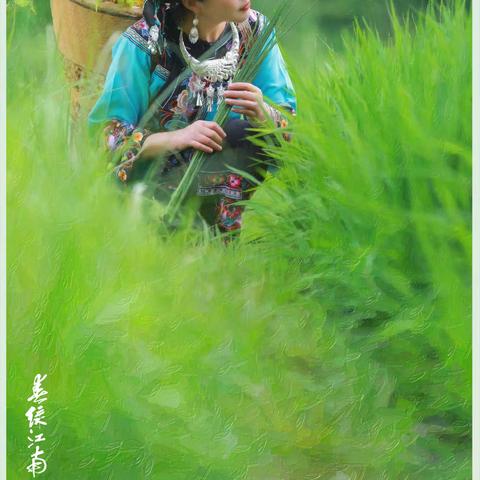 【春绿江南 】油画摄影作品