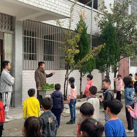 《我劳动，我快乐，我光荣》——记小庄小学劳动基地实践活动