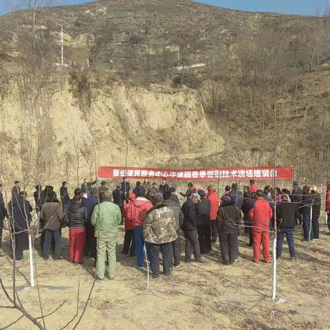 技术培训强本领，不负农时不负春