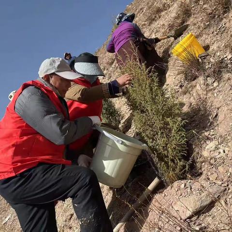 共植生命绿意   守护绿色家园