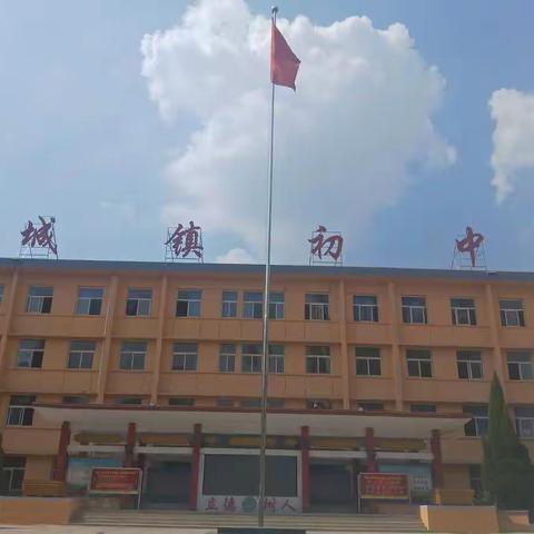 今日青春披戎装，明朝孺子成栋梁                           ——城镇初中新生军训纪实