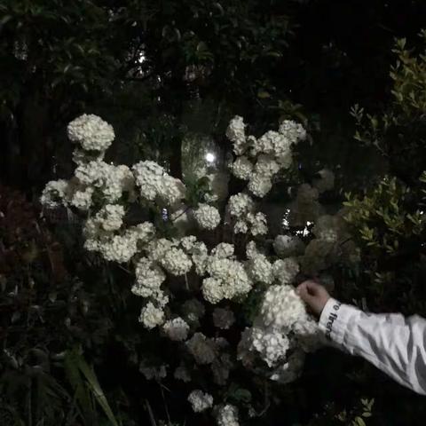 邵芷悠的美篇