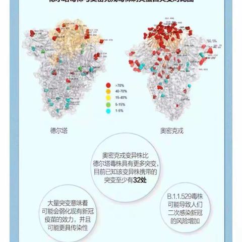 疫情防控不松懈，应急演练防范未然——纯本真幼儿园“奥密克戎”新冠变异株疫情防控演习