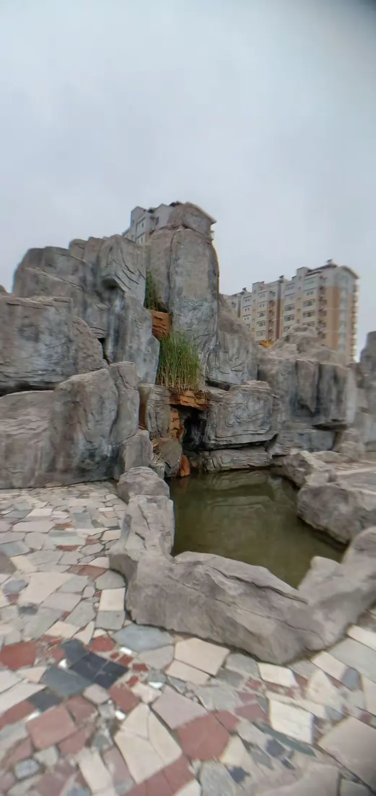 2018年6月25日,天气:雨.下午5时许游程王公园