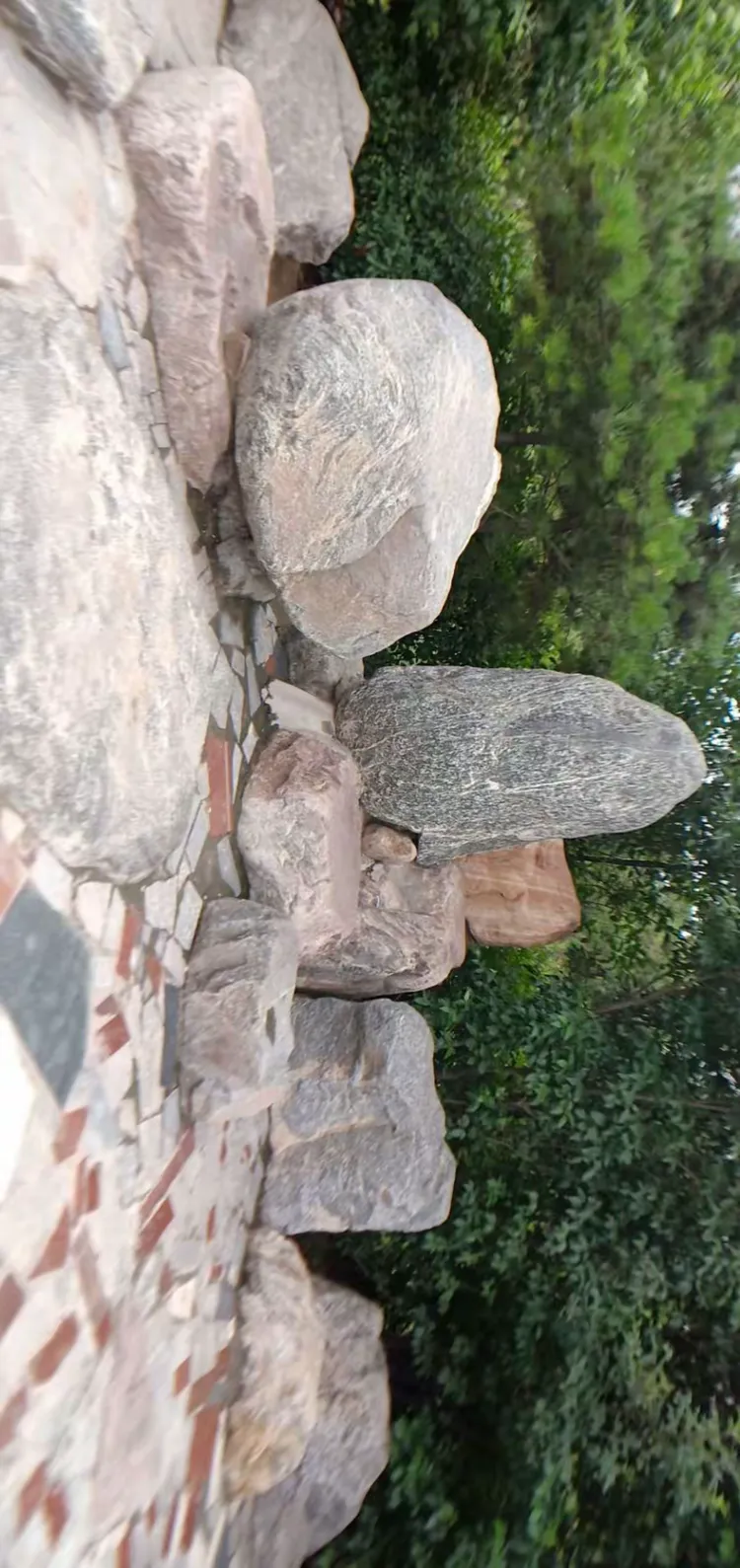 2018年6月25日,天气:雨.下午5时许游程王公园