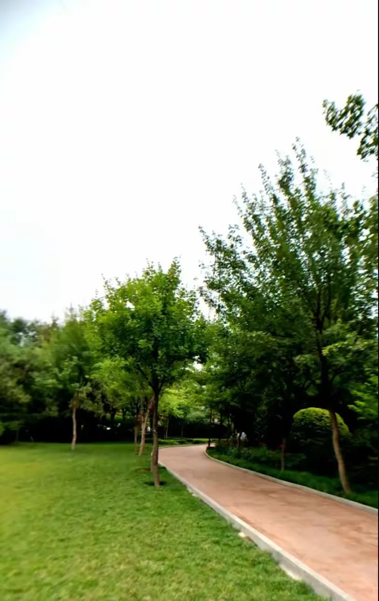 2018年6月25日,天气:雨.下午5时许游程王公园