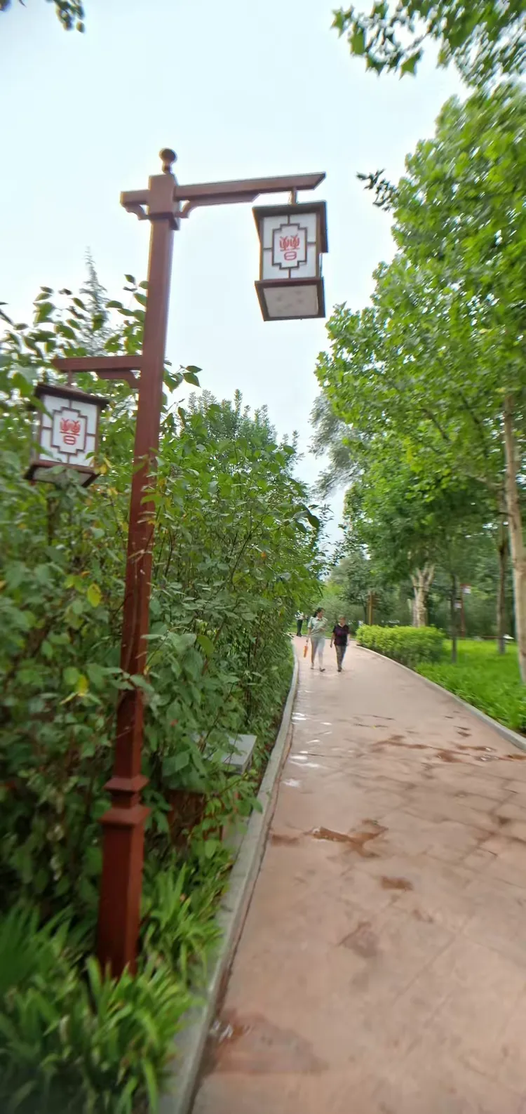 2018年6月25日,天气:雨.下午5时许游程王公园