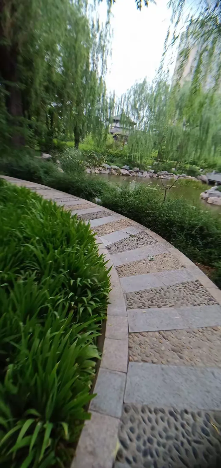 2018年6月25日,天气:雨.下午5时许游程王公园