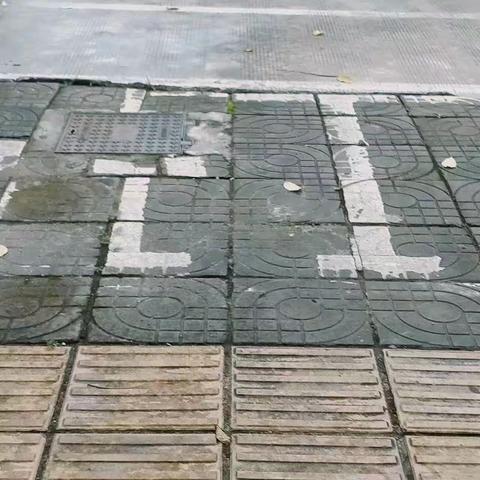 思想品德－为所在的社区做件好事