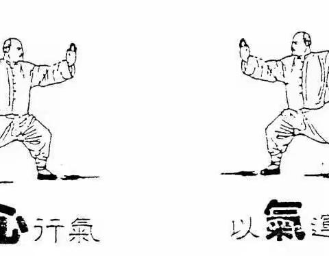 形体展示