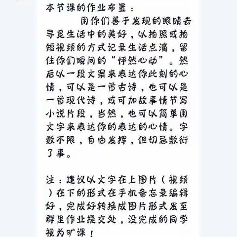 谣的美篇