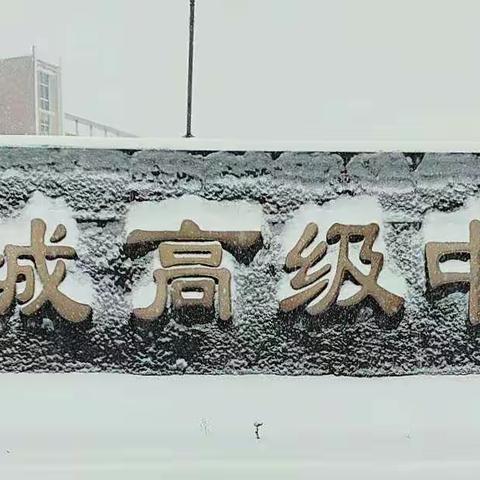 雪情就是号角     安全就是责任——柳城高中师生除冰铲雪在行动