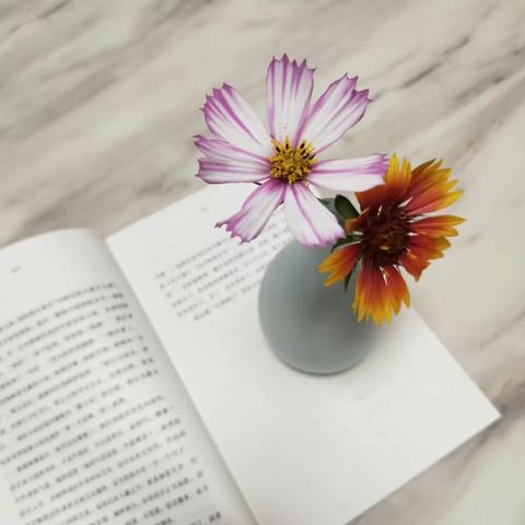 最美亲子阅读时光