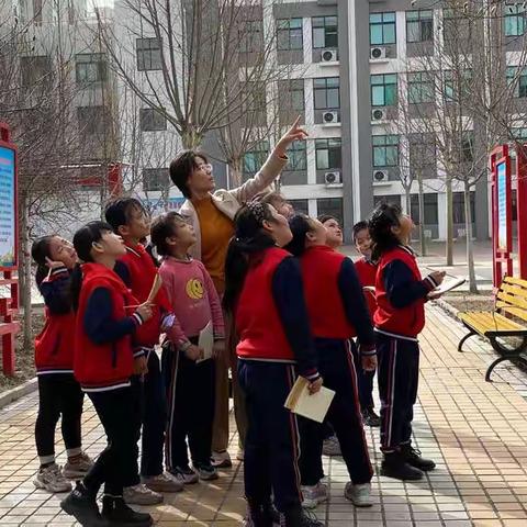 引领孩子走进想象的殿堂——邹平市开发区第三小学二年级语文作业初探（一）