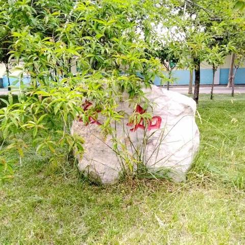 【赛课风采】以赛促研，以赛促长——记邹平市开发区第三小学教育集团语文课堂大赛活动