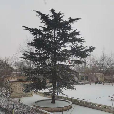 固坊小学观看“课改中国行”