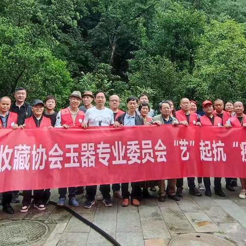 杭州市收藏协会玉器专业委员会“艺”起抗“疫”让爱传递暨捐赠省中医院取得圆满❤️❤️❤️🍎🍎🍎🌹🌹🌹