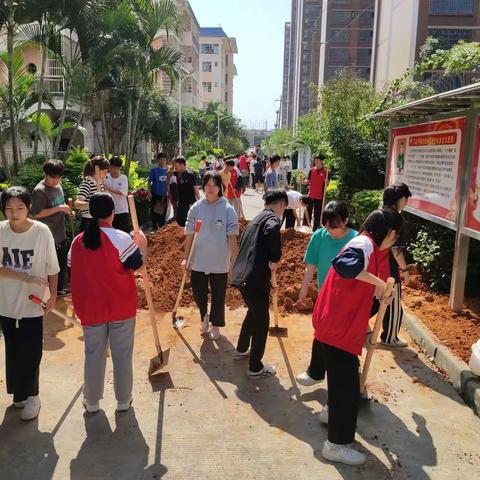 躬身耕耘建花圃，建设美丽新校园——平果市协力初级中学开展建设花圃活动