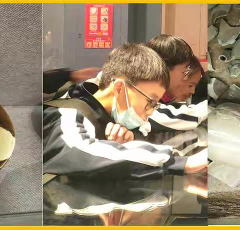 探寻国家宝藏  传承湖湘文化——望城一中外国语学校七年级2021年下学期铜官窑古镇研学小记