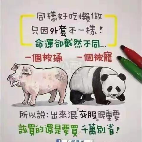 用漫画讲故事