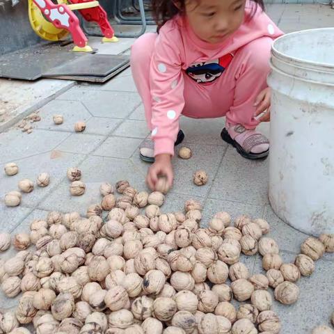 爱劳动  庆丰收  感党恩 ——山尹村镇龙凤湖学校庆祝中国农民丰收节