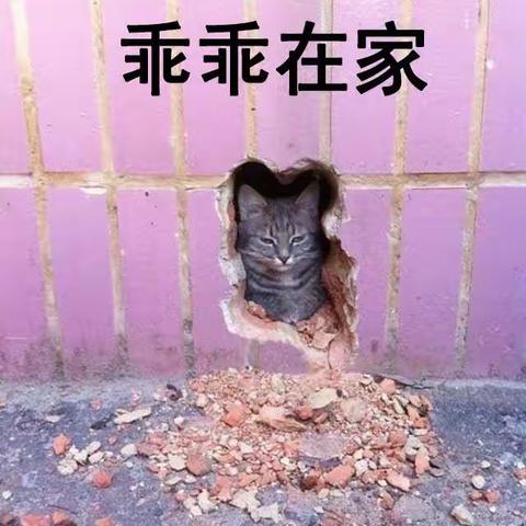 快乐成长，健康成长，奋力成长
