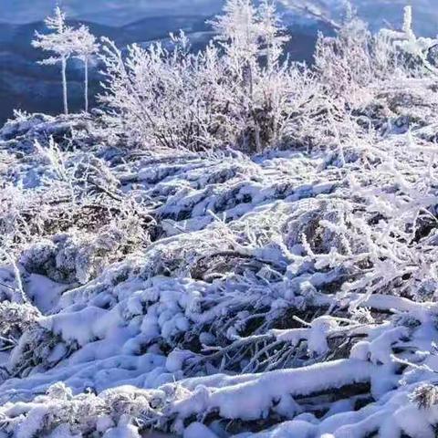 着力强化安全责任意识   保证营林生产高效完成