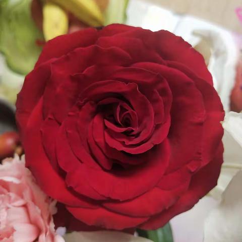 为了梦想，我们一直在努力的方向