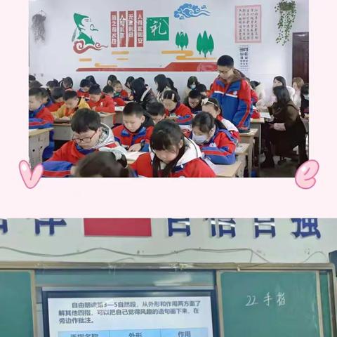 教与研携手 学与思并肩———实验小学城北校区教研活动小结