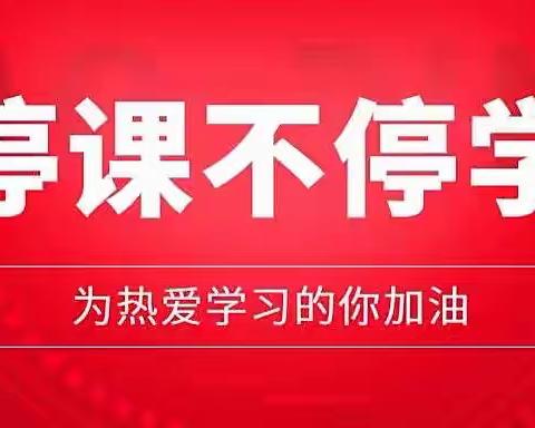 坚守初心促双减，线上教学润桃李——南昌县洪州汇仁学校赵姝燕线上教学纪实