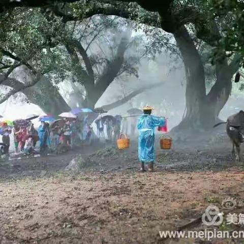 中国式摄影摆拍胜地