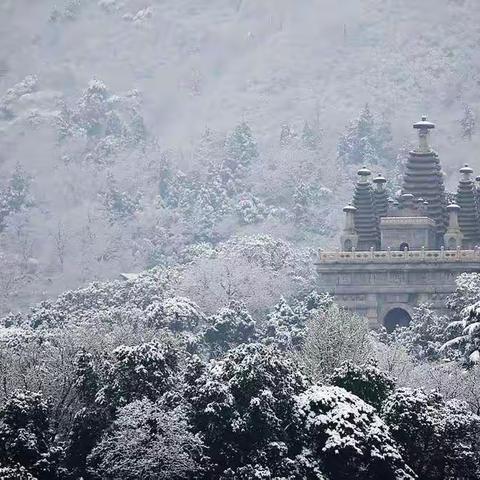 清明小长假第一天 西山赏雪