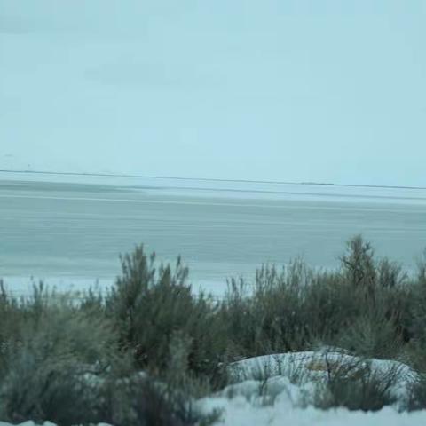 美国西部游记（八）- Salt lake city(盐湖城）