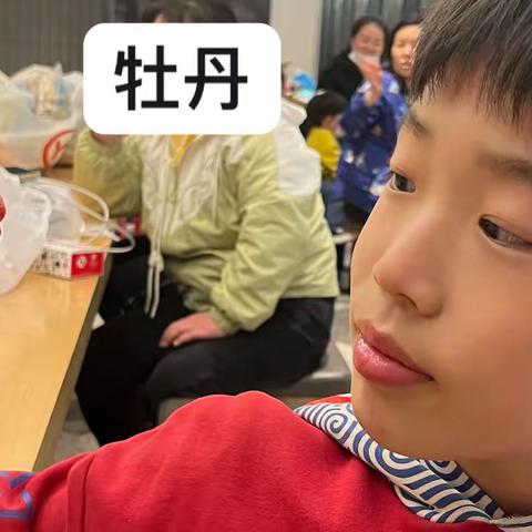 春天和小猫咪2022年3月