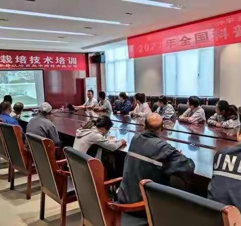 涉县以岭，连翘科普