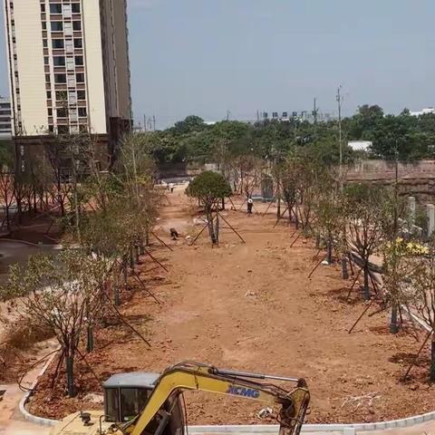 芙蓉悦府7.11施工进度