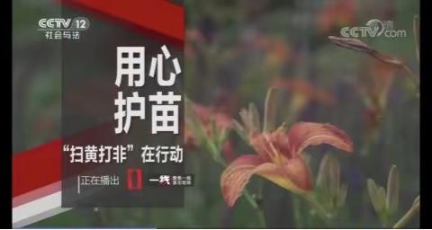 甘泉社区组织观看“扫黄打非行动”用心护苗